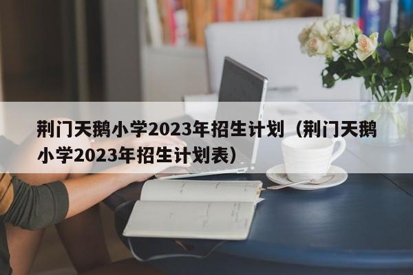 荆门天鹅小学2023年招生计划（荆门天鹅小学2023年招生计划表）